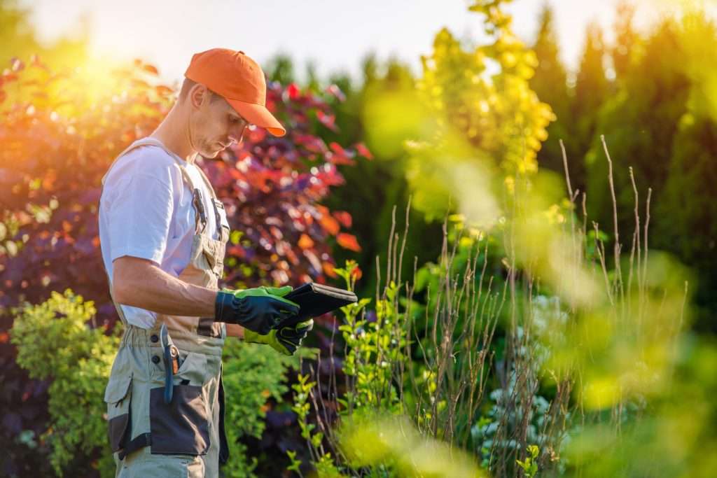 Gartenpflege